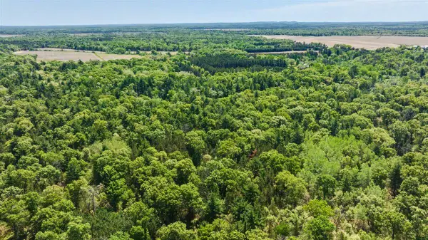40+/- Acres Highway 13, Friendship, WI 53934