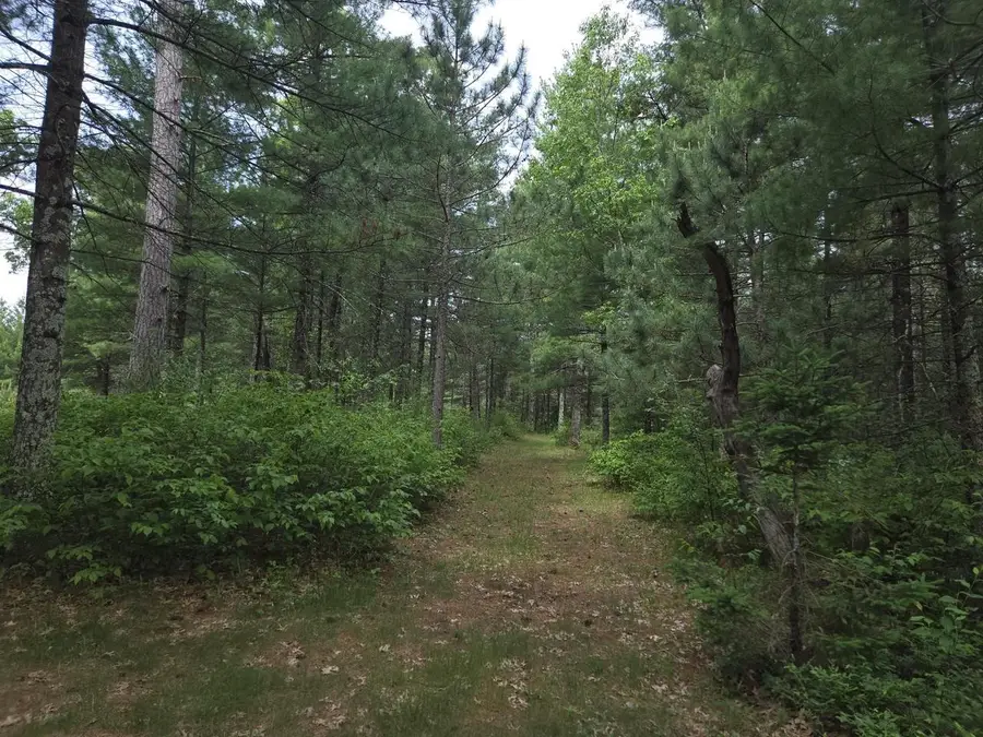 927 Blackhawk Lane, Friendship, WI 53934 - #3