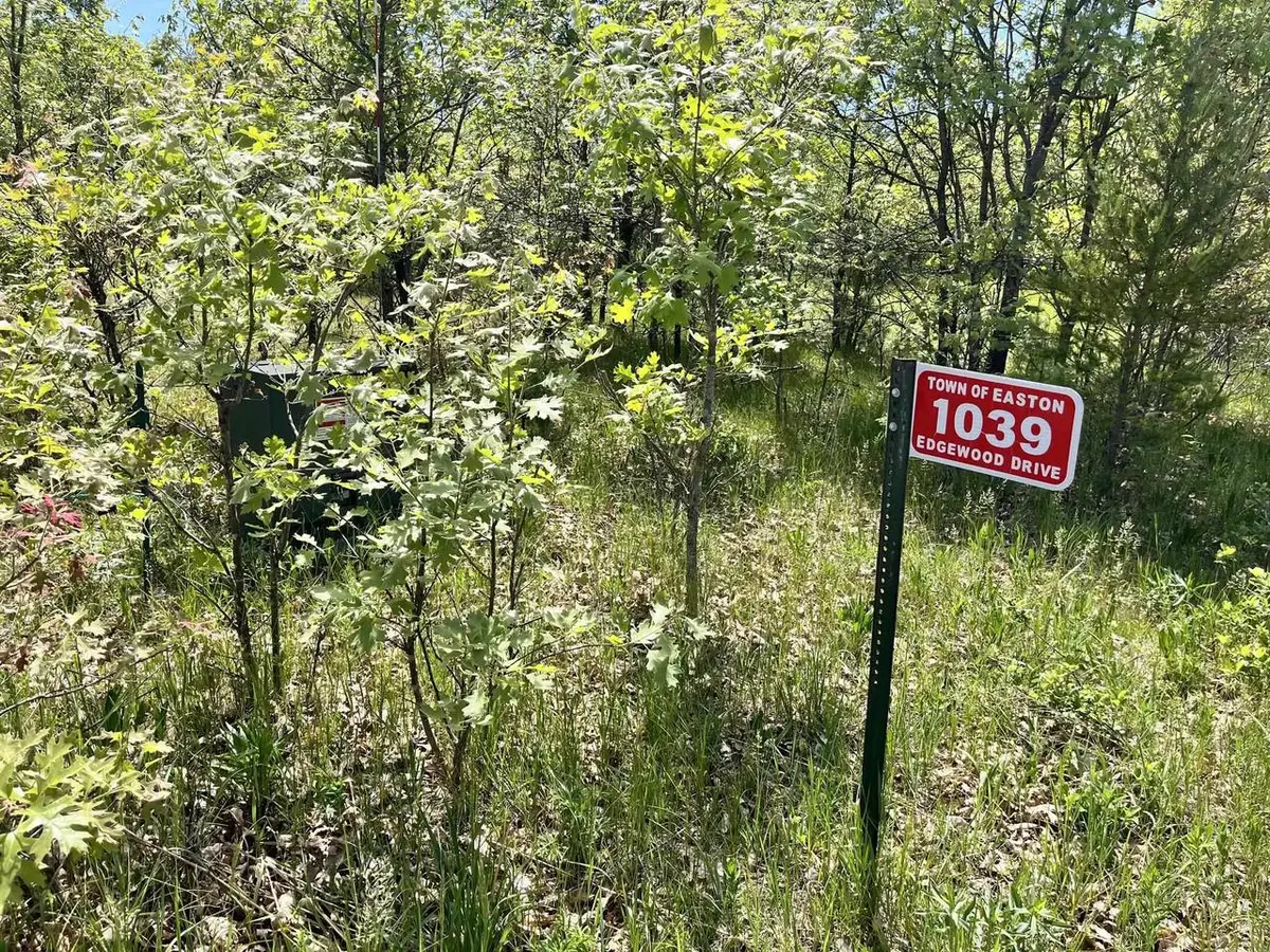 1039 Edgewood Drive, Adams, WI 53910 - #1