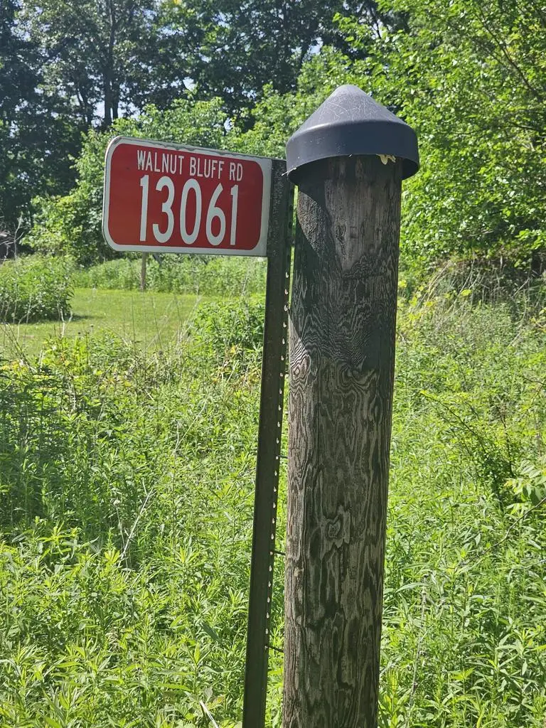 13061 Walnut Bluff Road, Bagley, WI 53801 - #2