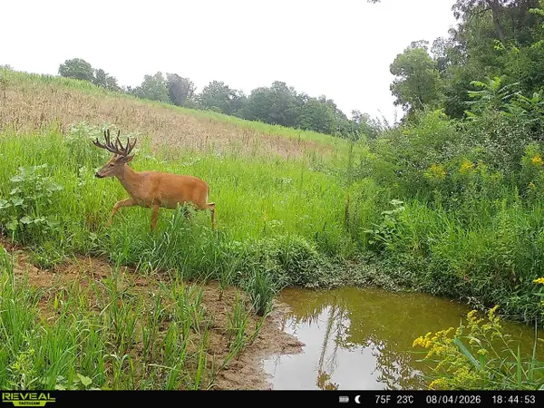 153+/- Acres Shimmering Lane, Blue River, WI 53518