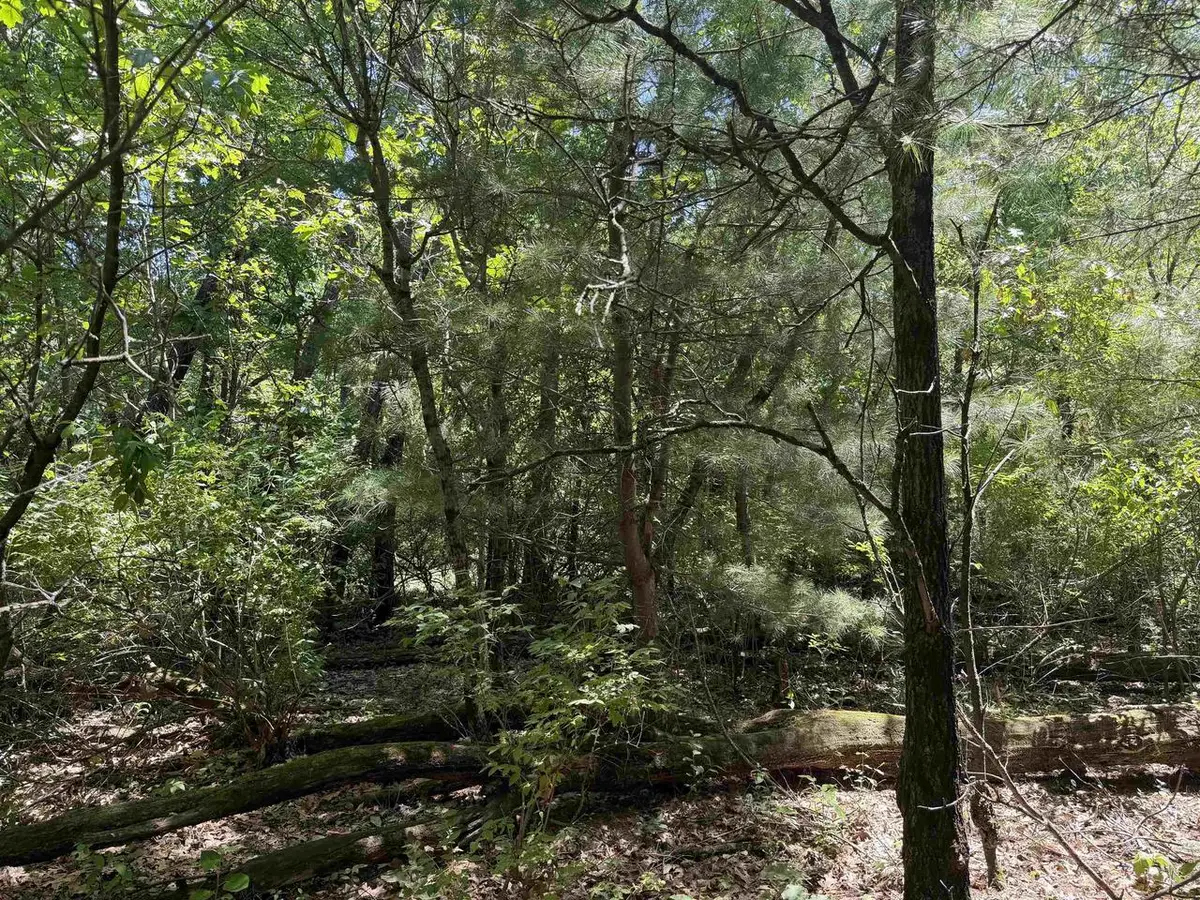 5.01 AC 8th Avenue, Wisconsin Dells, WI 53965 - #1