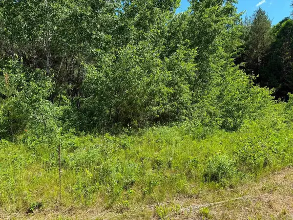 2.5 Acres County Road C, Arkdale, WI 54613