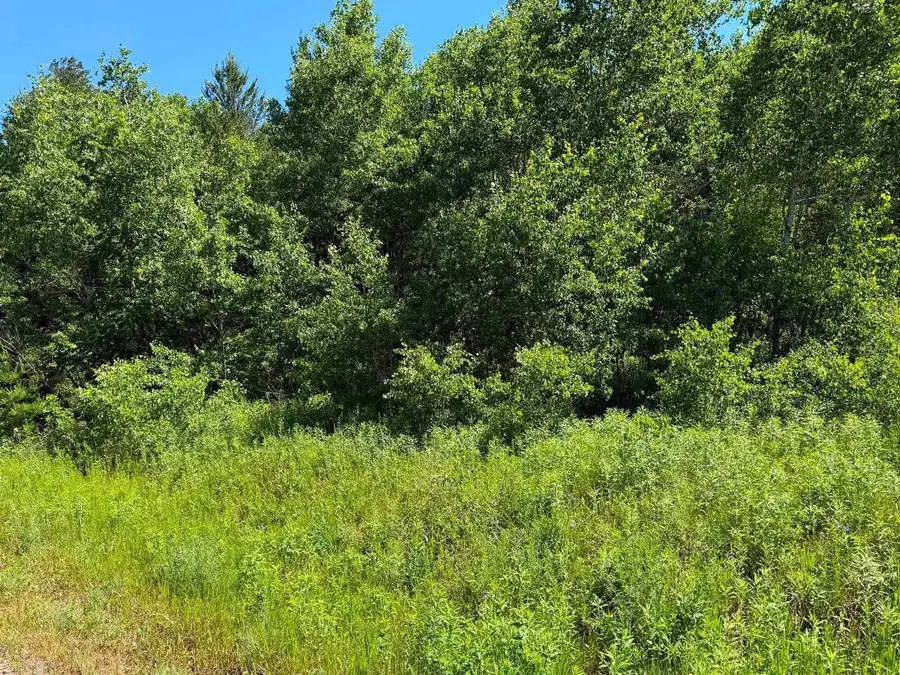 2.5 Acres County Road C, Arkdale, WI 54613 - #2