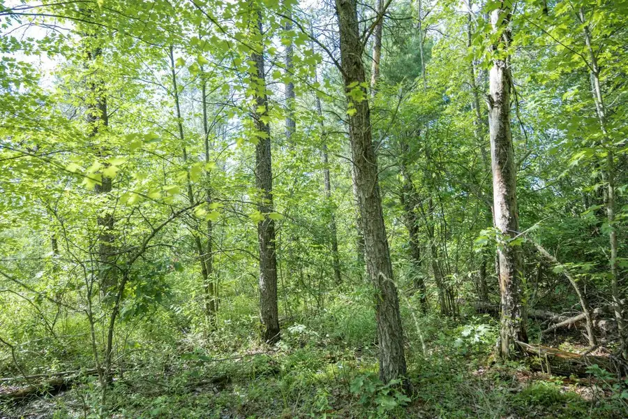 10 Acres 25th Street, Necedah, WI 54646 - #3