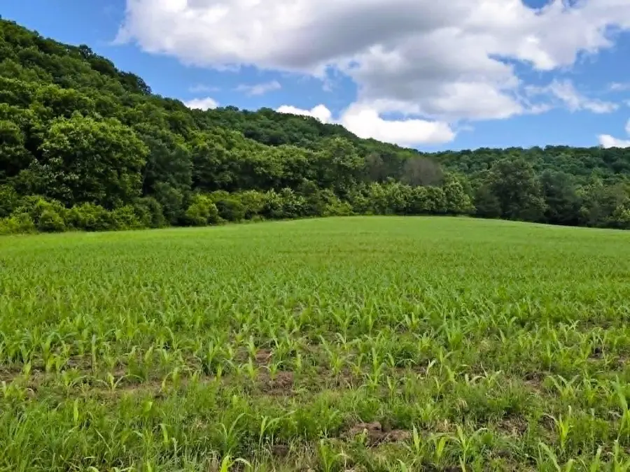 13106 HWY 131, Soldiers Grove, WI 54655 - #3