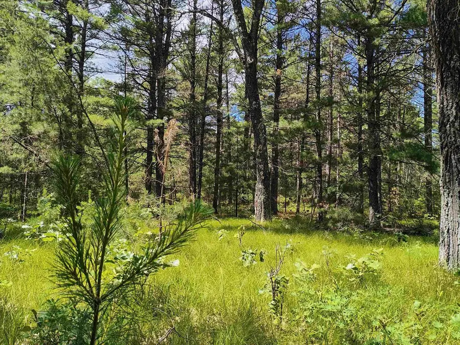 5.6 Acres 16th Avenue, Arkdale, WI 54613 - #2