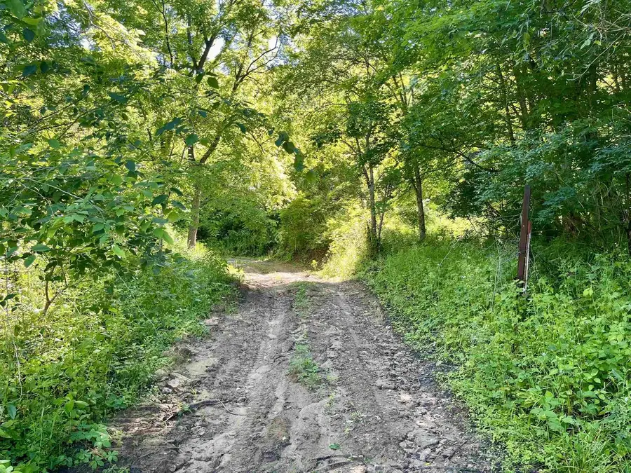 Highway 131, Gays Mills, WI 54631 - #2