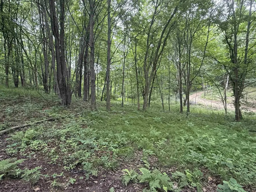 N4877 Oak Valley Lane, Elroy, WI 53929 - #2