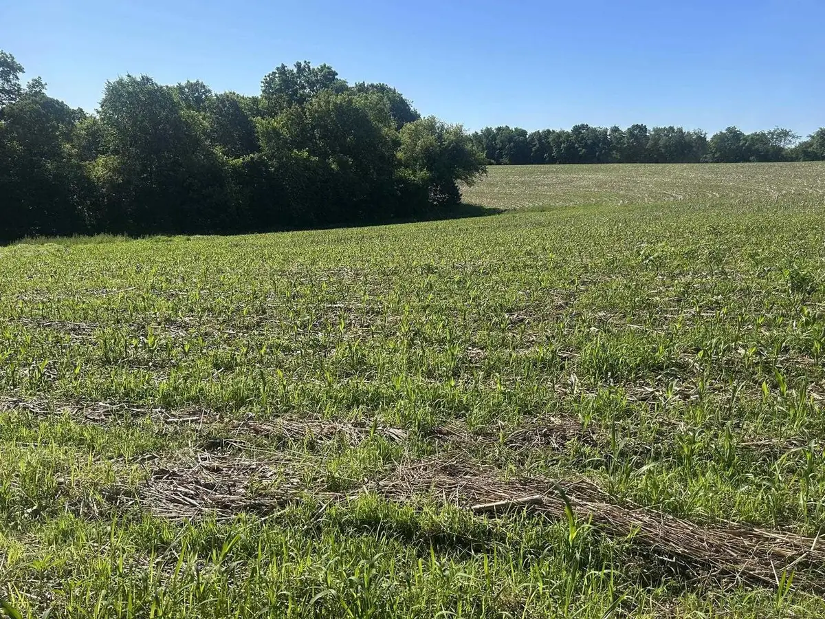 42.47 County Road C, Soldiers Grove, WI 54655 - #1