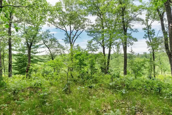 41.13 Acres 9th Court, Grand Marsh, WI 53936