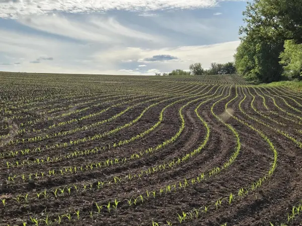 18.5 Ac County Road W Road, Hazel Green, WI 53811