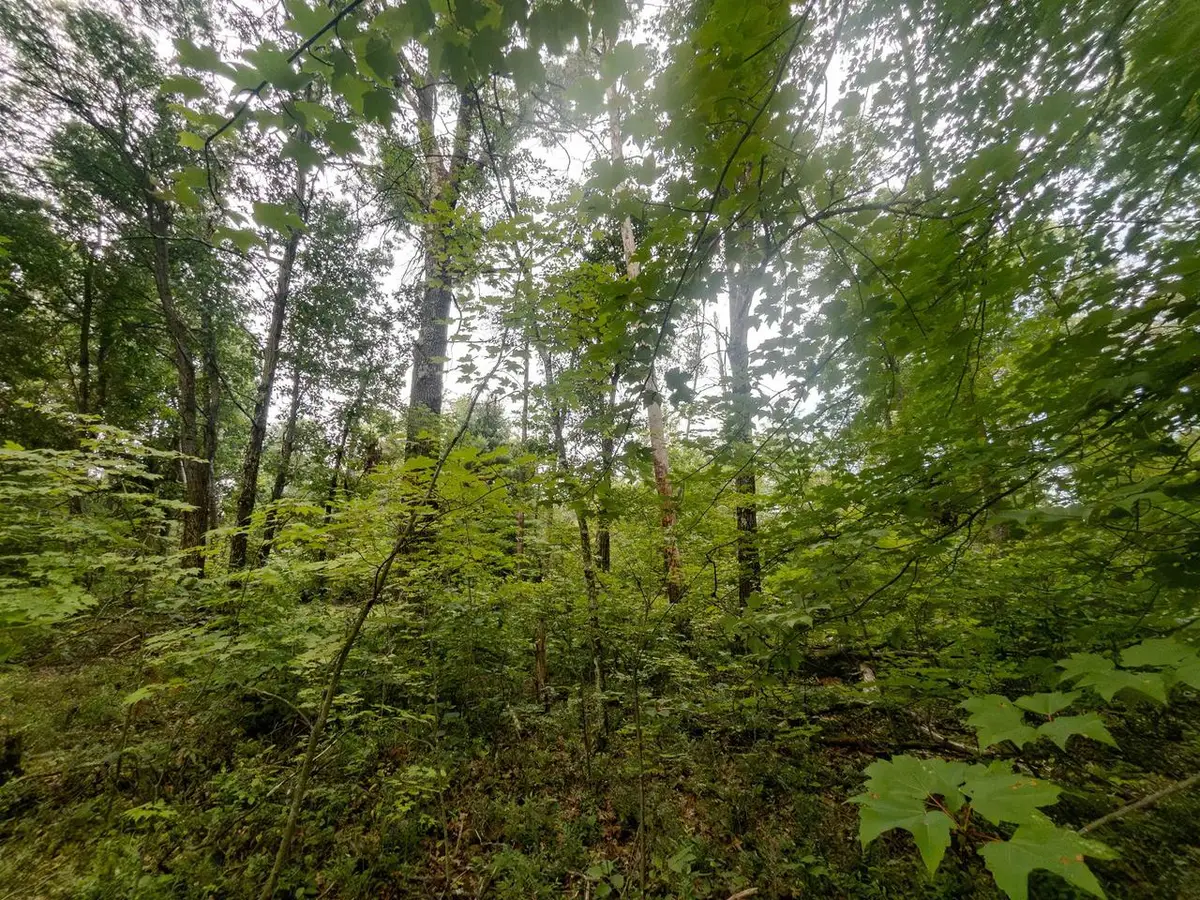 4.96ac 12th Street E, Necedah, WI 54646 - #1