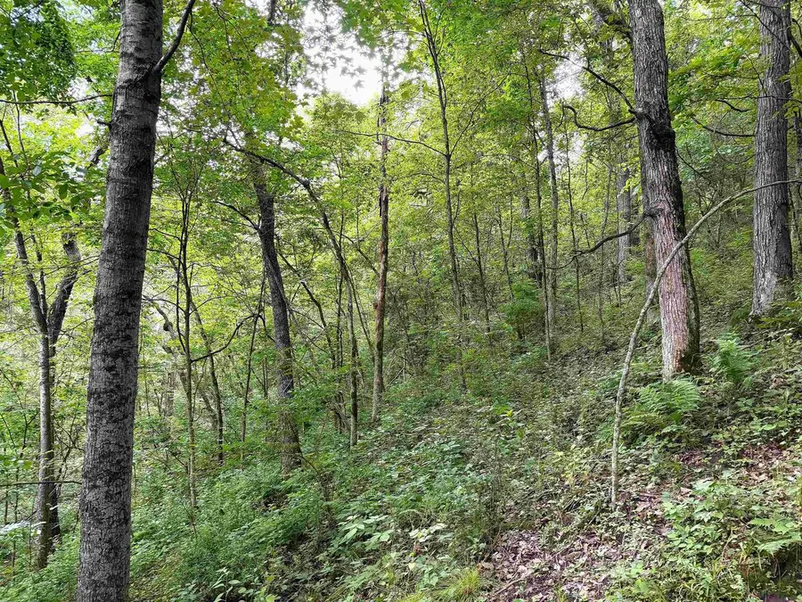 10370 Prestegard Road, Soldiers Grove, WI 54655 - #2