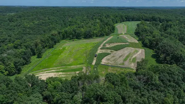 77.85 AC Pine Avenue, Hillsboro, WI 54634