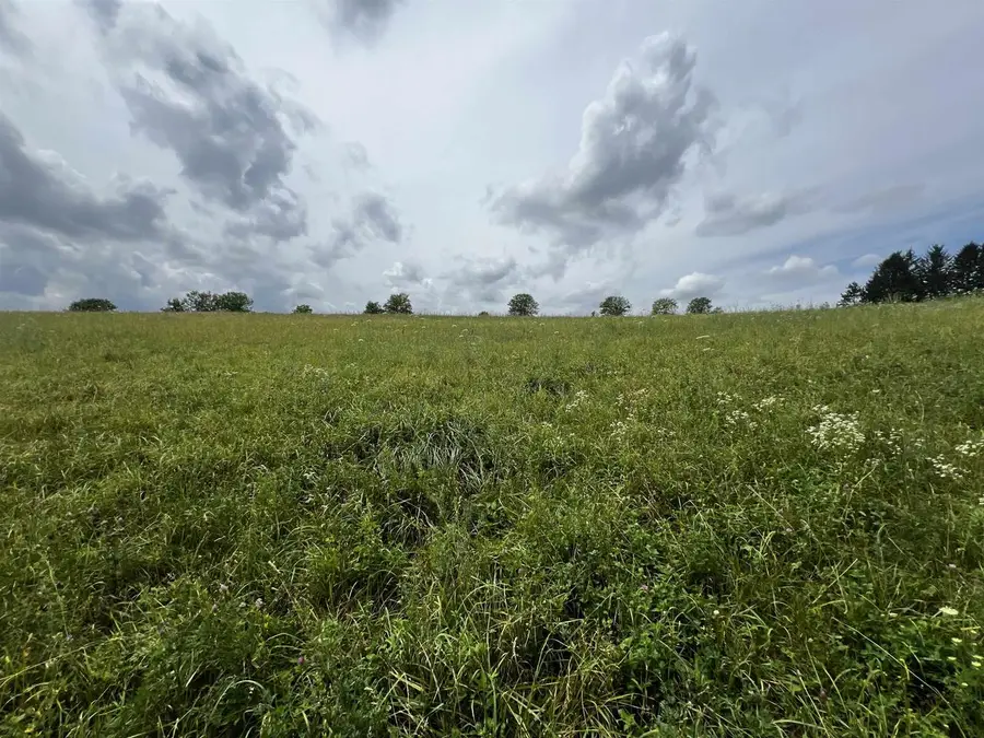 5 Ac Cadiz Springs Road, Monroe, WI 53566 - #2