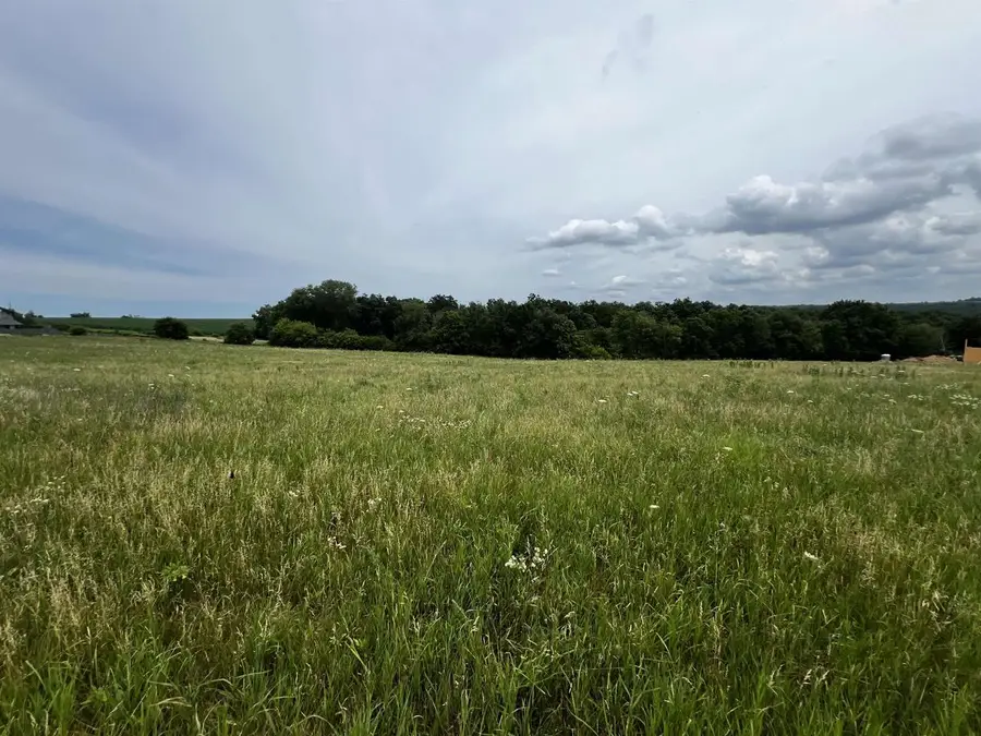 5 Ac Cadiz Springs Road, Monroe, WI 53566 - #3