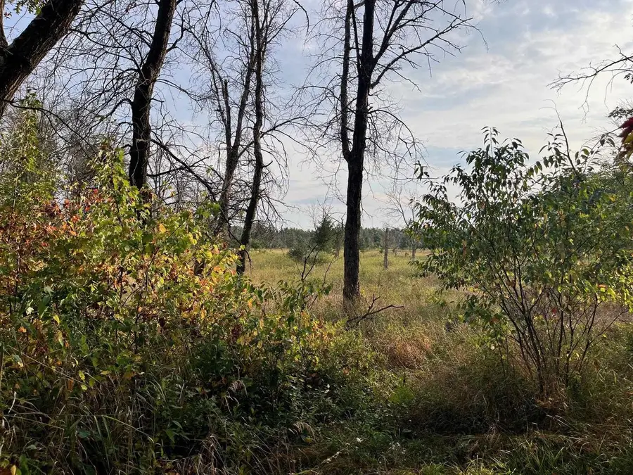1193 Beaver Avenue, Nekoosa, WI 54457 - #3