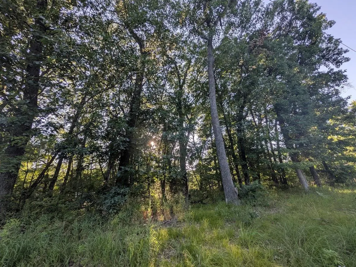 0 6th Avenue, Grand Marsh, WI 53936 - #1