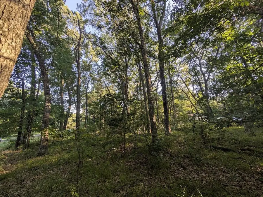 0 6th Avenue, Grand Marsh, WI 53936 - #2