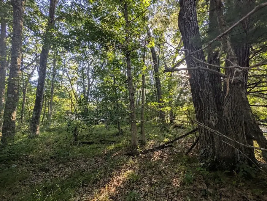 0 6th Avenue, Grand Marsh, WI 53936 - #3