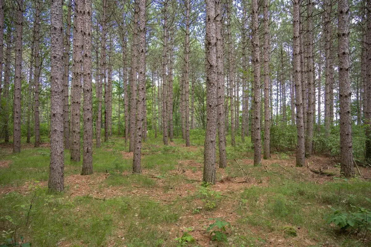 Lot 10 County Road G, Necedah, WI 54646 - #1