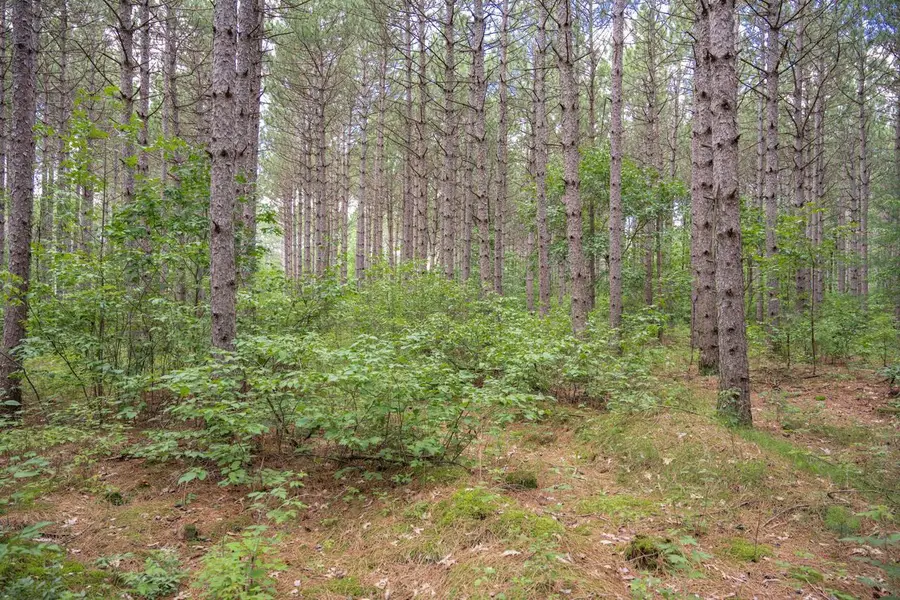 Lot 10 County Road G, Necedah, WI 54646 - #2