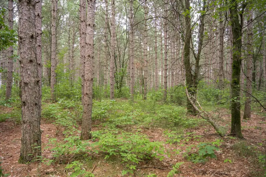 Lot 10 County Road G, Necedah, WI 54646 - #3