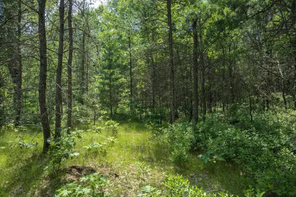 Lot 5 17th Street, Necedah, WI 54646