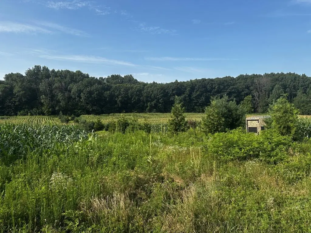 W9598 County Road X Road, Portage, WI 53901 - #1