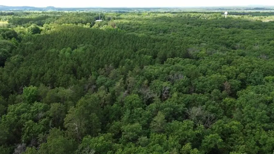 Lots 26-27 W Limits Road, Lyndon Station, WI 53944 - #3
