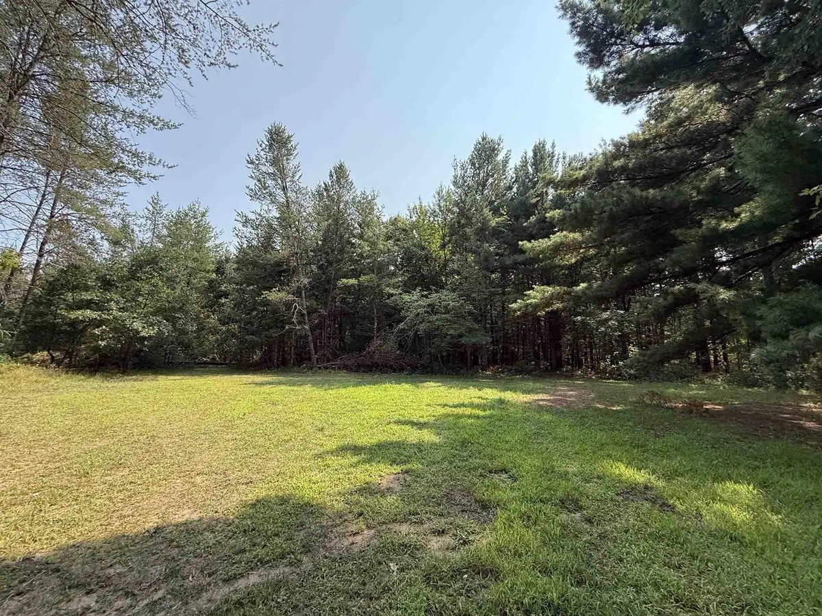 2906 14th Lane, Adams, WI 53910 - #1