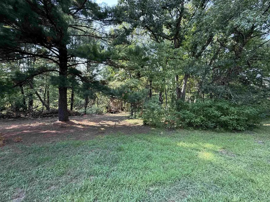2906 14th Lane, Adams, WI 53910 - #3