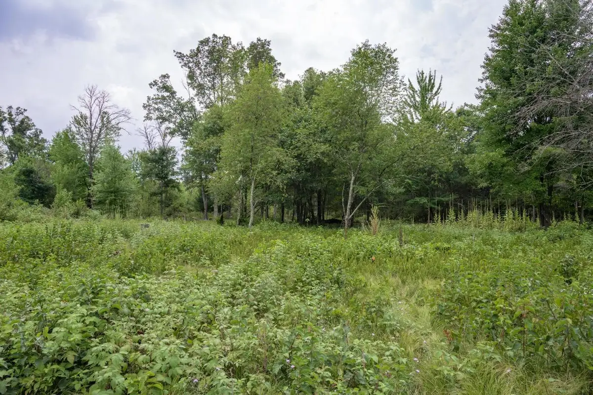 N13230 17th Avenue, Necedah, WI 54646 - #1