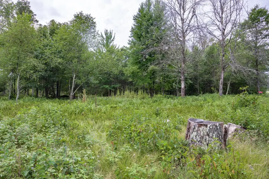 N13230 17th Avenue, Necedah, WI 54646 - #3