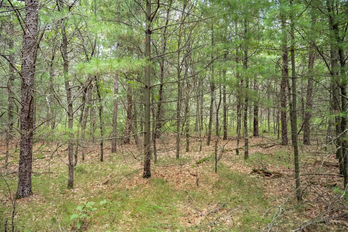Lot 44 Morros Mile Road, Necedah, WI 54646 - #1