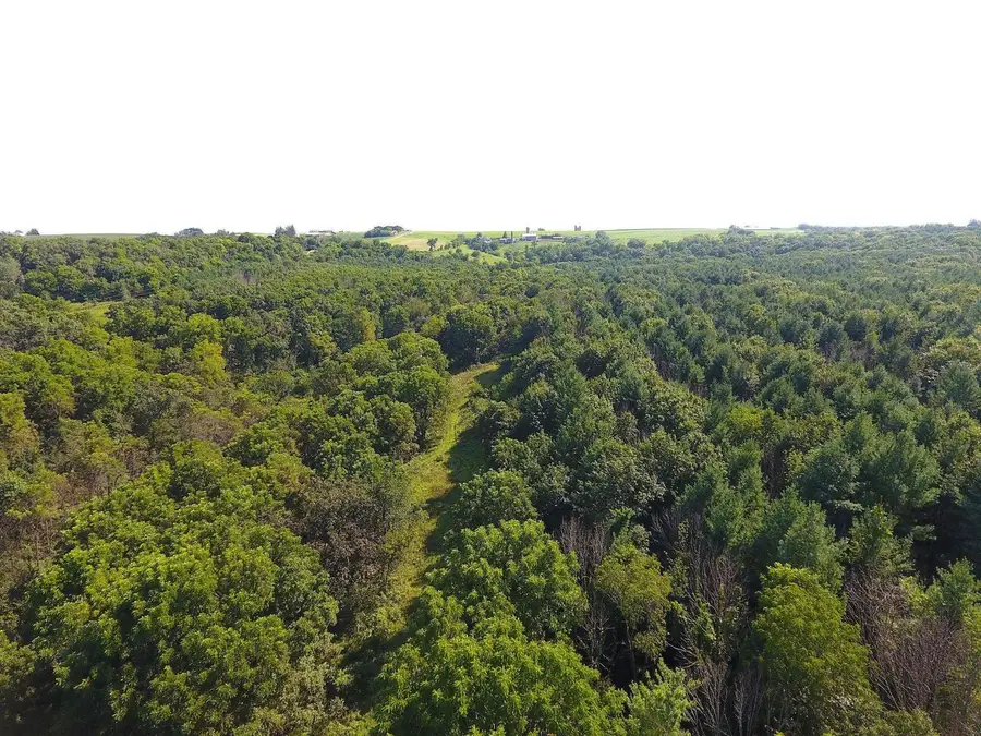 140 Acres Ideal Road, Fennimore, WI 53809 - #3