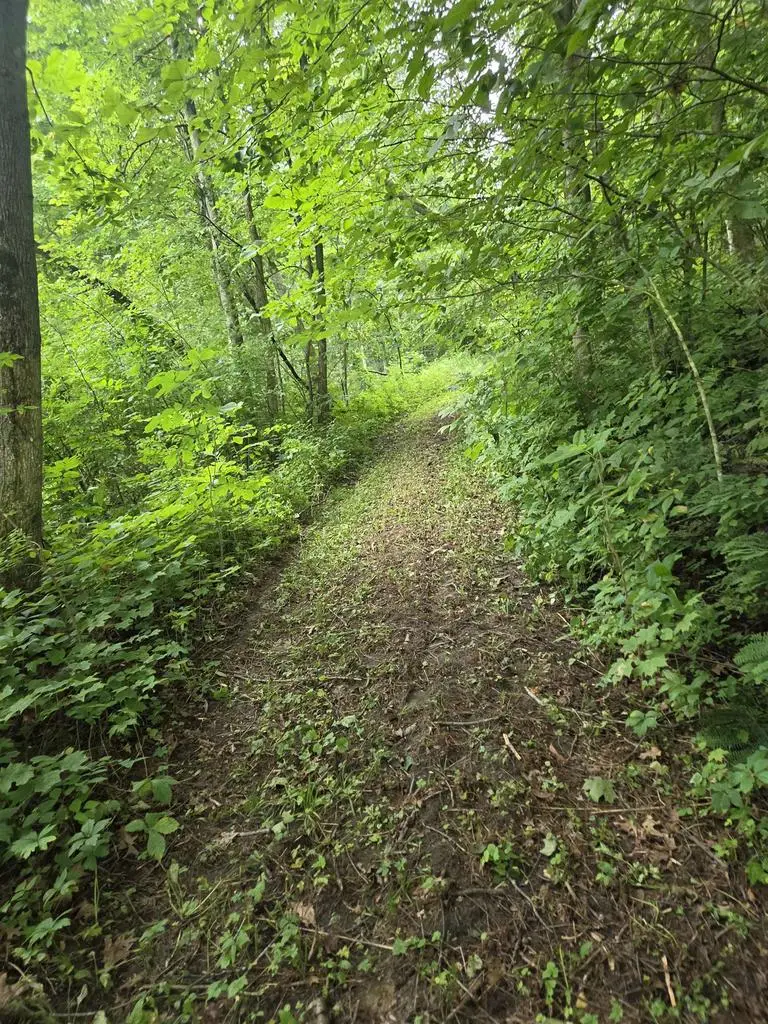 TBD Marshall Rd Road, Richland Center, WI 53581 - #2