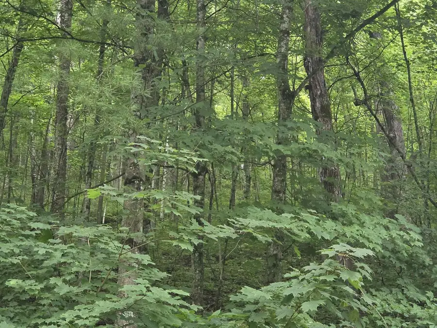 TBD Marshall Rd Road, Richland Center, WI 53581 - #3