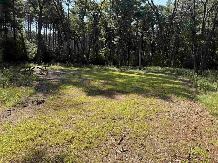 1809 E CTY Z Road, Arkdale, WI 54613 - #3