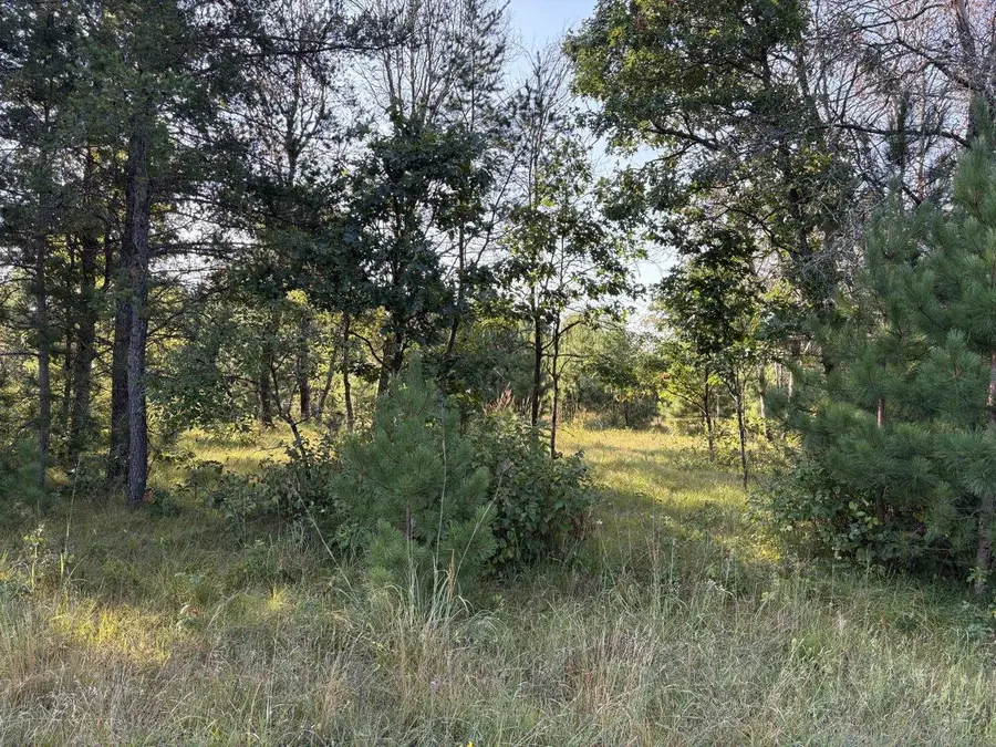 1371 Sawgrass Drive, Nekoosa, WI 54457 - #2