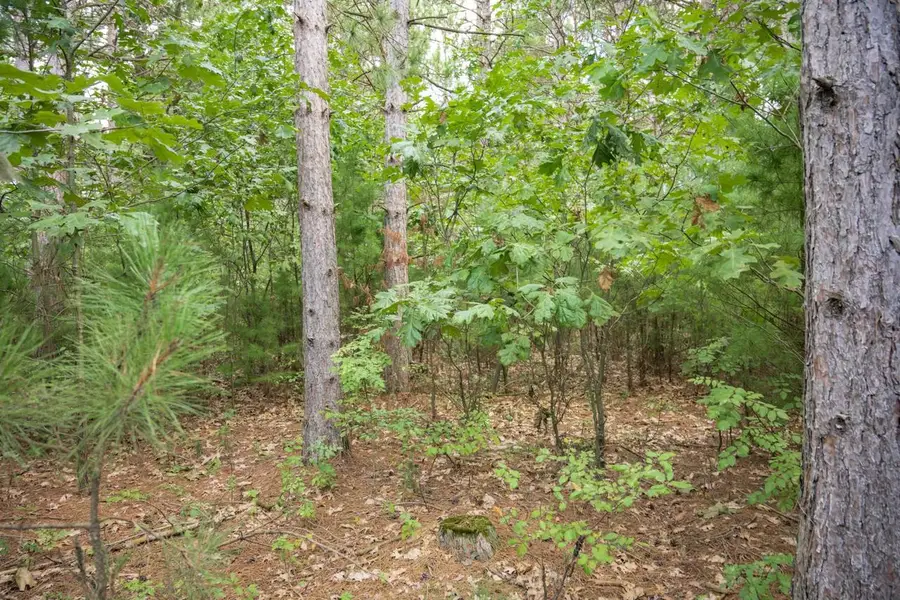 W4076 Mays Point Road, Necedah, WI 54646 - #2