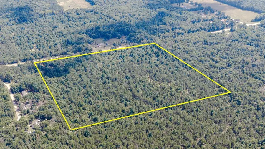 1653 Highway 13, Friendship, WI 53934 - #3