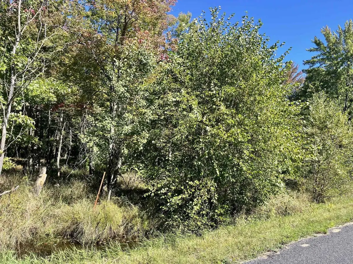 932 Beaver Avenue, Big Flats, WI 54930 - #1