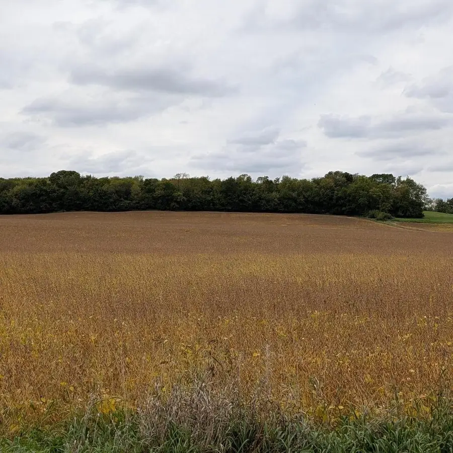 38.80 Acres Faville Road, Lake Mills, WI 53551 - #3