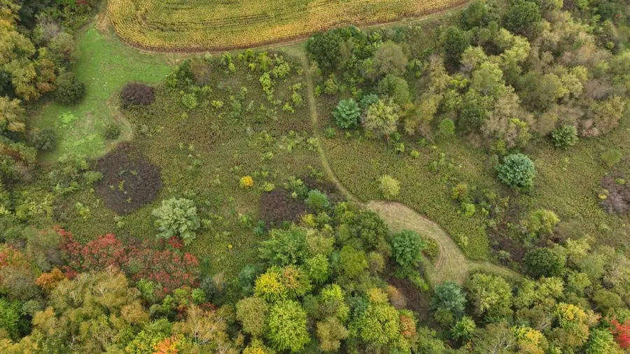 000 Pierce Road, Hixton, WI 54635 - #3
