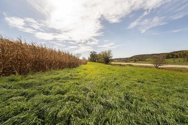 34.06 acres Highway 131, Wilton, WI 54670