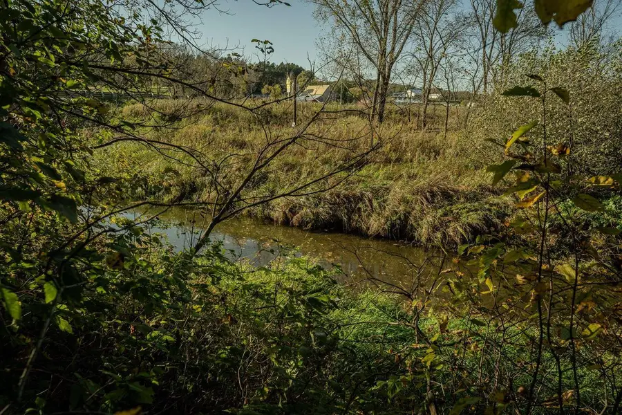34.06 acres Highway 131, Wilton, WI 54670 - #2