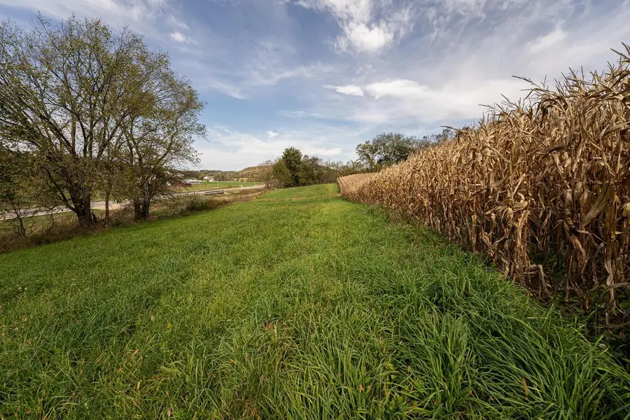 34.06 acres Highway 131, Wilton, WI 54670 - #3