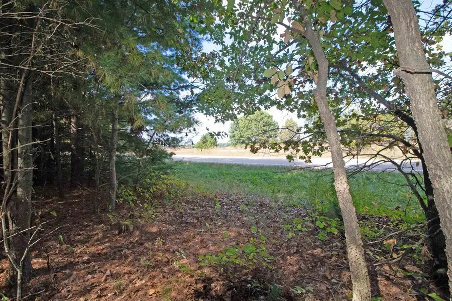 Lot 1 White Pine, Spring Green, WI 53588 - #3